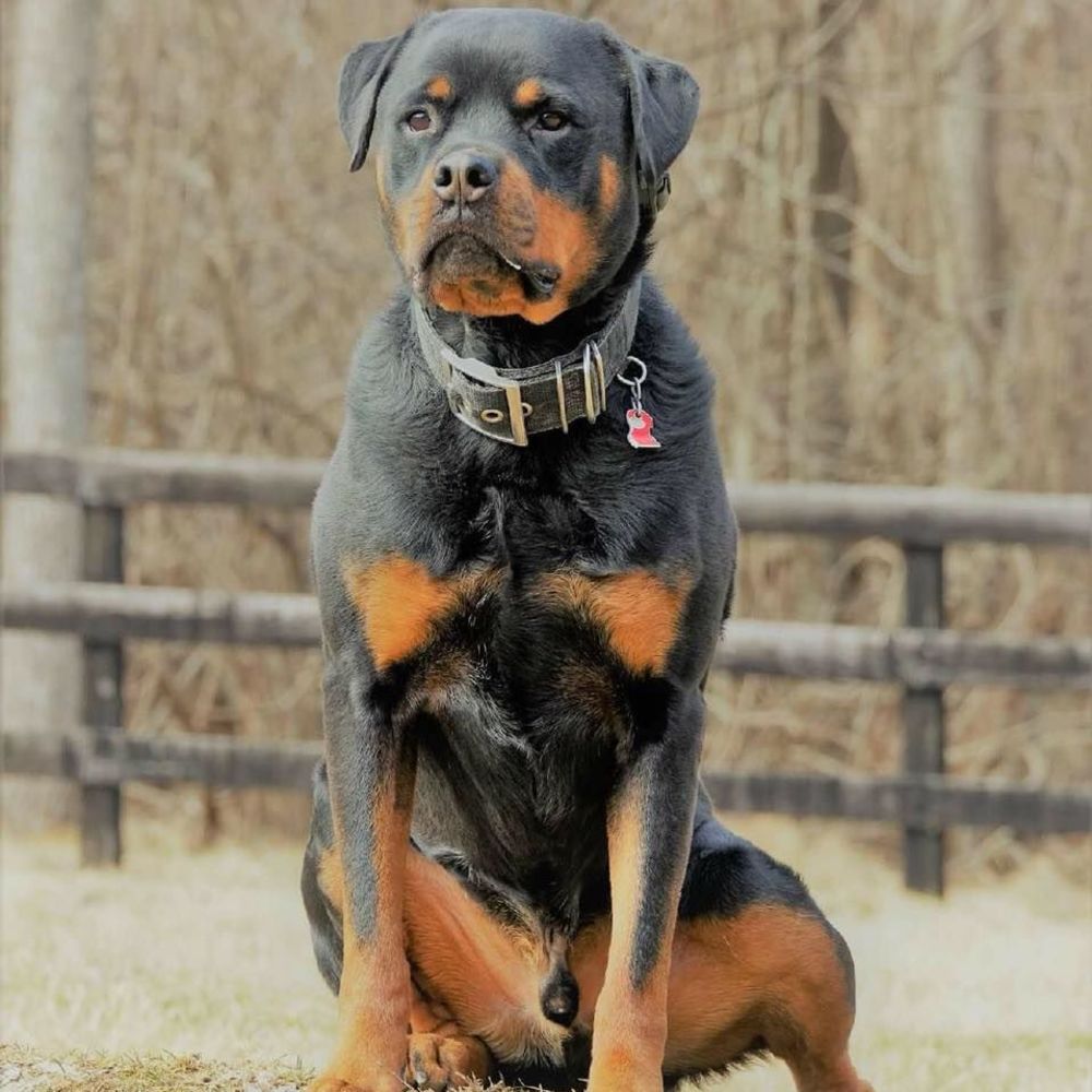 Meet your Posher, Debra